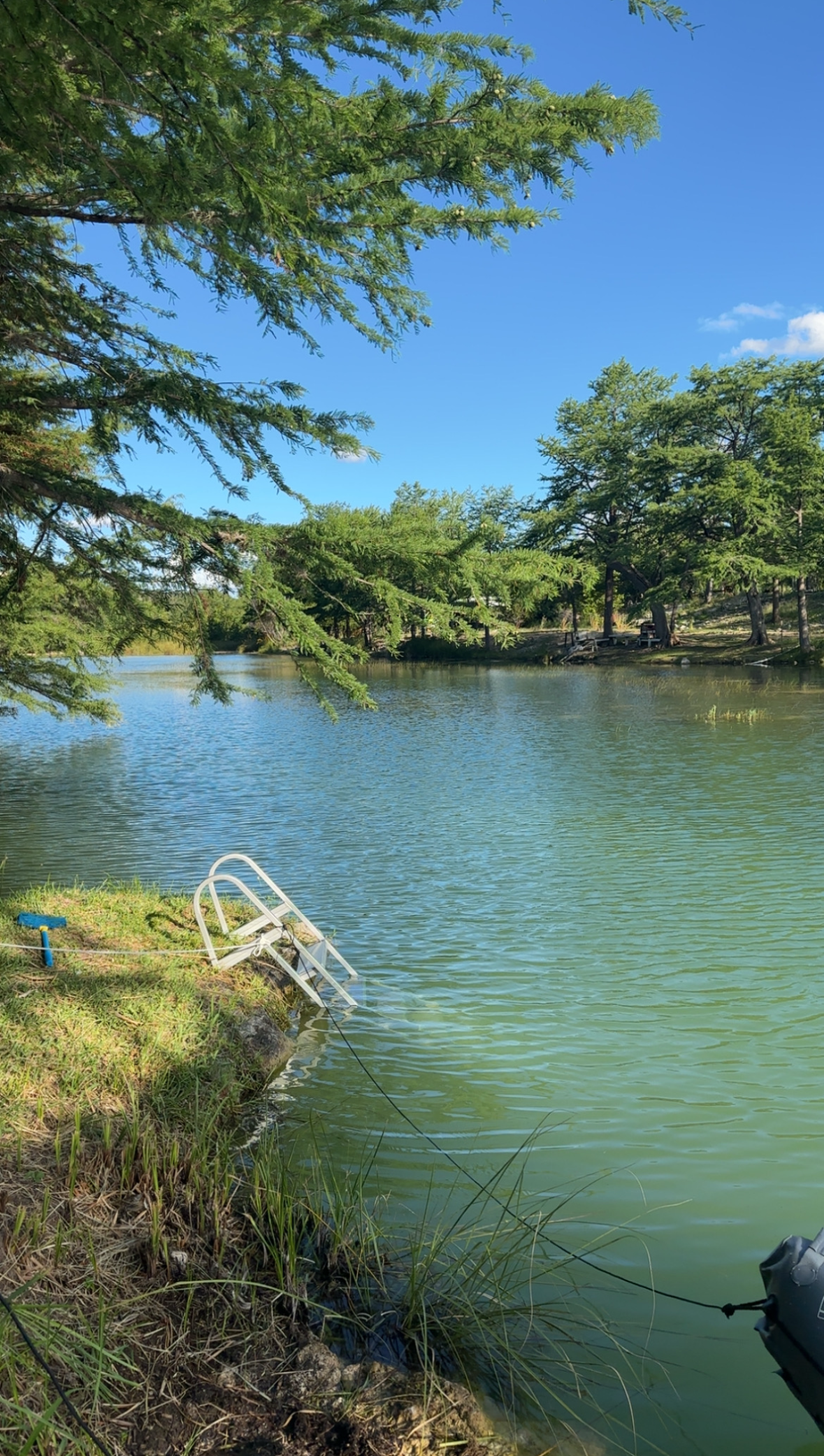 Where to Book Affordable Medina River Vacation Rentals in 2026?