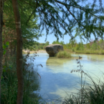 How Can You Find the Best Texas, Hill Country Waterfront Vacation Rentals for Your Next Family Getaway?